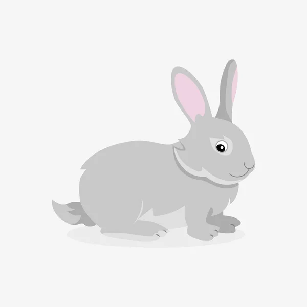 Серый Пушистый Кролик Белом Фоне — стоковый вектор