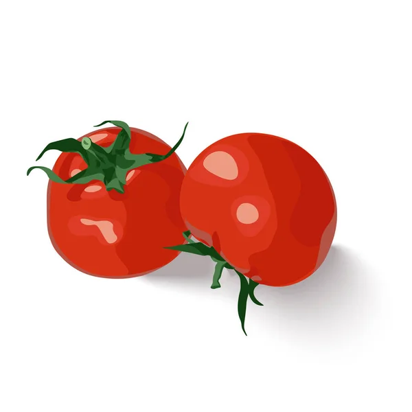 Vector isolated set of two fresh red tomatoes on white background — Stock Vector
