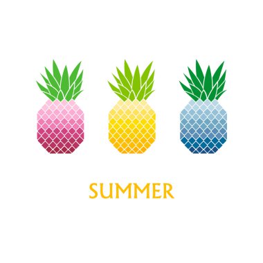 Renkli ananas metin ile vektör çizim