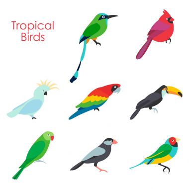 Tropikal kuşlar simge vektör çizim