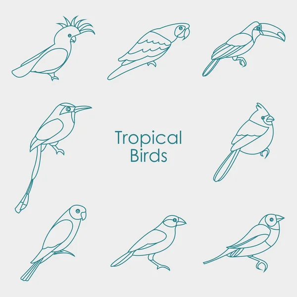 Ilustración vectorial del icono de las aves tropicales — Vector de stock