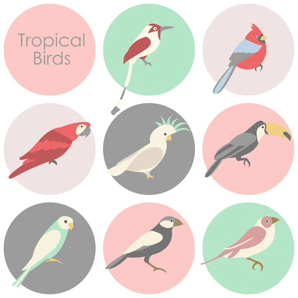 Illustration vectorielle de l'icône des oiseaux tropicaux — Image vectorielle