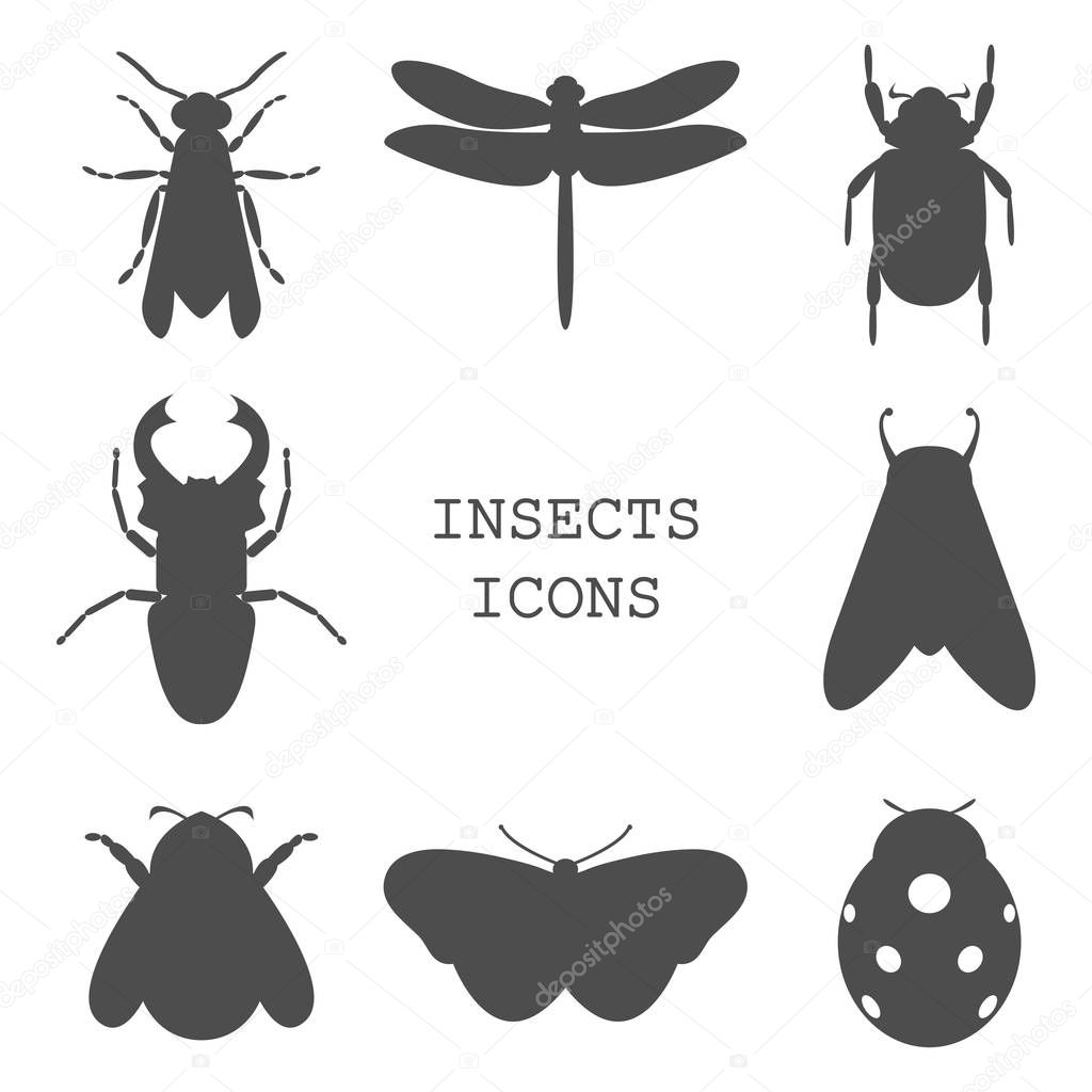 Vector illustration of insects icons black set