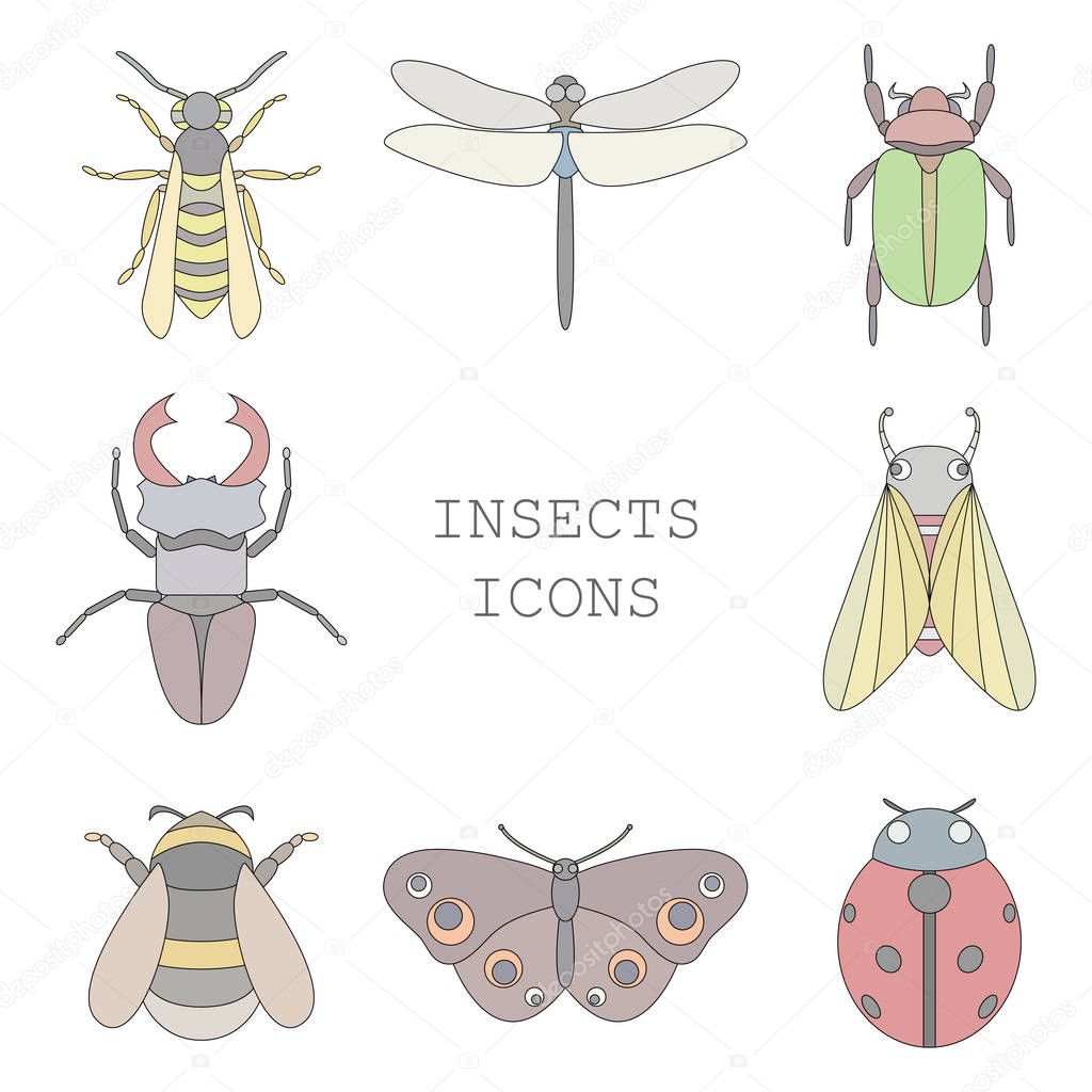 Vector illustration of insects icons color set