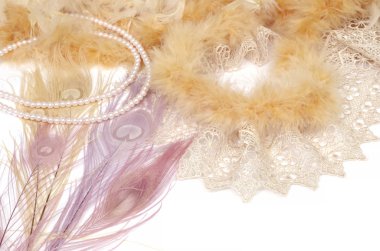 Dantel ve tavus kuşu tüyleri ile Vintage boa