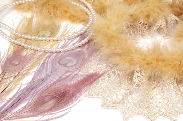 Dantel ve tavus kuşu tüyleri ile Vintage boa