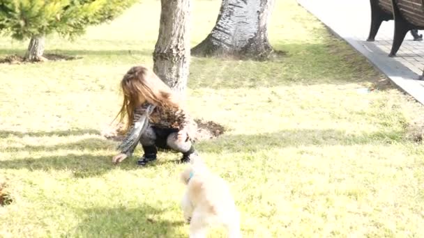 Slow motion mother and child playing with dog on a warm summer day in the park — Stock Video