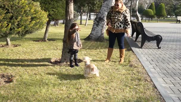 Lassú mozgás anya és gyermeke egy meleg nyári napon a kutyát a parkban játszó