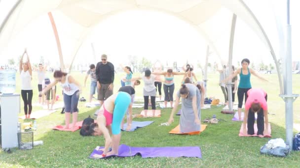 Baku, Azerbaijan, 15 Mei 2017: Kelas yoga pria dan wanita selama festival Hari yoga — Stok Video