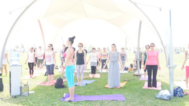 Baku, Azerbaigian, 15 maggio 2017: Lezioni di yoga per uomini e donne durante il festival Giornata dello yoga — Video Stock