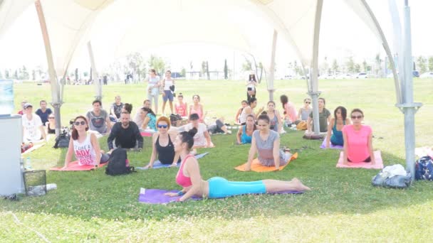 Bakú, Azerbaiyán, 15 de mayo de 2017: Clases de yoga para hombres y mujeres durante el festival Día del yoga — Vídeos de Stock