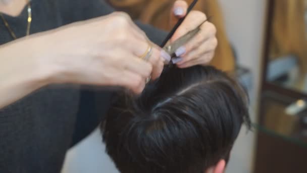 Un homme se fait couper les cheveux par un coiffeur. — Video