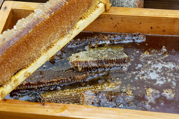 Méhsejt darab. Méhészeti termékek, szerves természetes összetevők. Zárja le a friss mézet a méhsejtszerkezeten. Egészséges étel koncepció. Sárga Méhsejt szelet közelkép — Stock Fotó