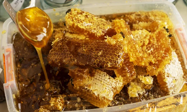Méhsejt darab. Méhészeti termékek, szerves természetes összetevők. Zárja le a friss mézet a méhsejtszerkezeten. Egészséges étel koncepció. Sárga Méhsejt szelet közelkép — Stock Fotó
