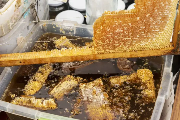 Pièce en nid d'abeille. Produits apicoles, ingrédients naturels biologiques. Fermer le miel frais sur le nid d'abeille. Concept d'alimentation saine. Paille de nid d'abeille jaune gros plan — Photo