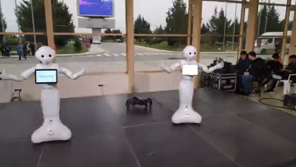 Bakú Azerbaiyán Diciembre 2019 Modern Robotic Technologies Electrónica Show Exposición — Vídeo de stock