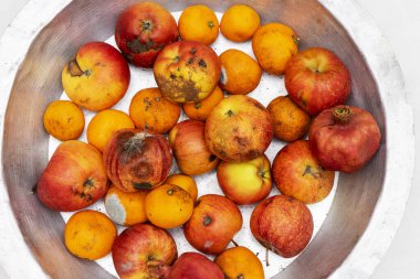 Demir bir tavada çürük, çürük elmalar ve mandalinalar.