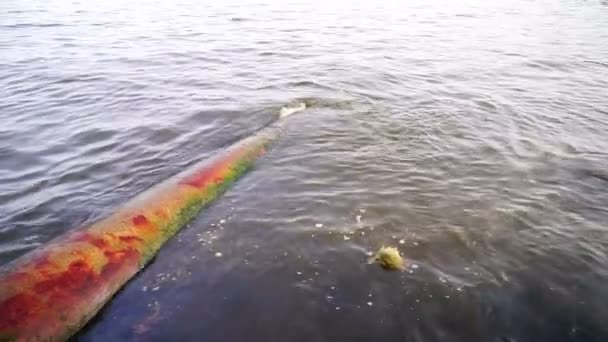 Macchie di olio sulla superficie dell'acqua del Mar Caspio Baku, Azerbaigian. La pulizia dell'ambiente, la protezione dell'ambiente . — Video Stock