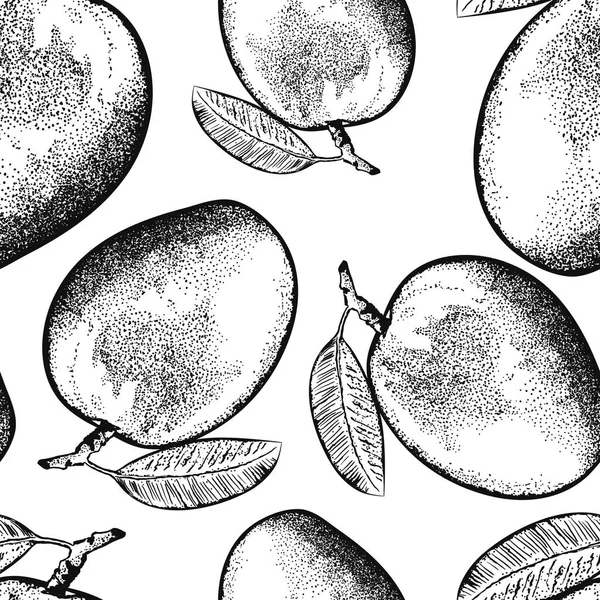 Плоды манго изолированы на белом фоне — стоковый вектор