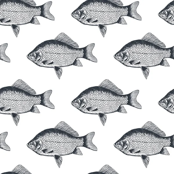 鱼鲫鱼，孤立的黑色和白色，侧视图. — 图库矢量图片