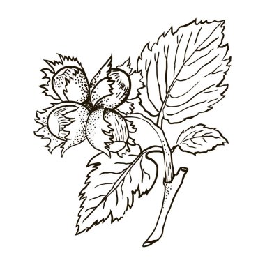 Elle çizilmiş kroki illüstrasyon vektör