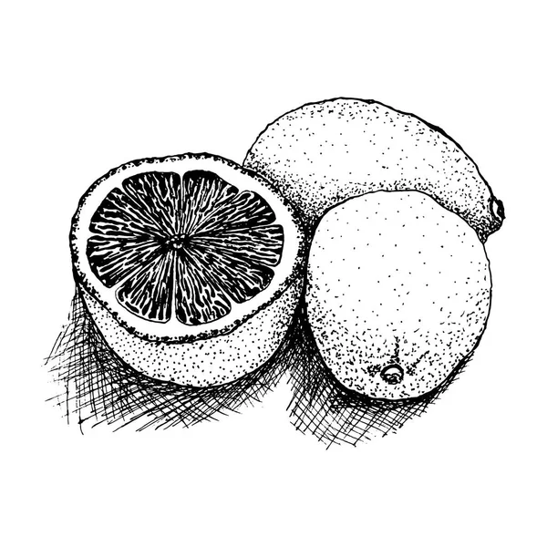 Disegnato su sfondo bianco limone, gocce di limone, illustrazione vettoriale — Vettoriale Stock