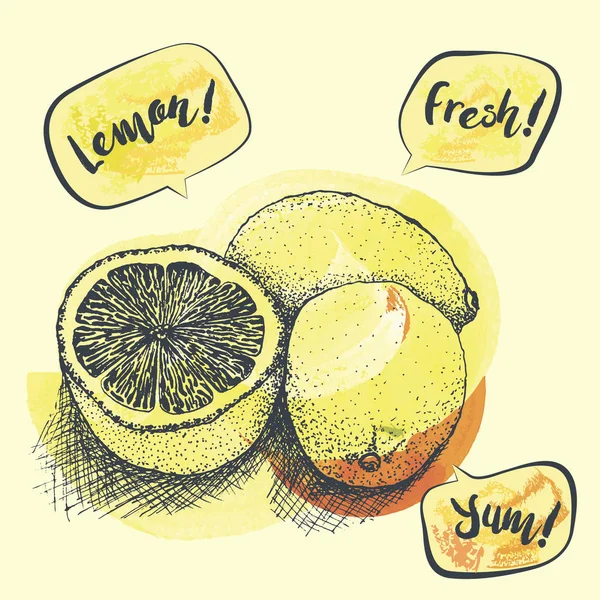 Disegnato su sfondo bianco limone, gocce di limone, illustrazione vettoriale — Vettoriale Stock