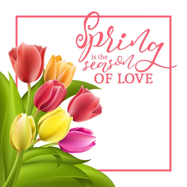 Spring text with tulip flower. Vector illustration EPS10 — Stock Vector