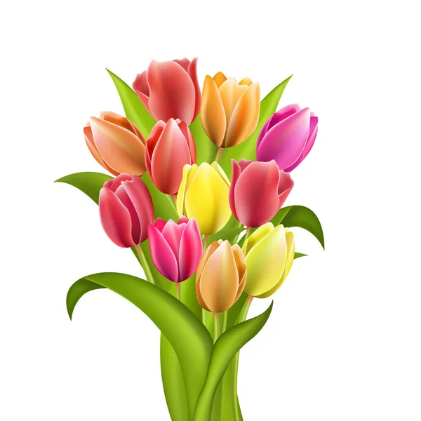 Set de cinco tulipanes de diferentes colores aislados — Vector de stock