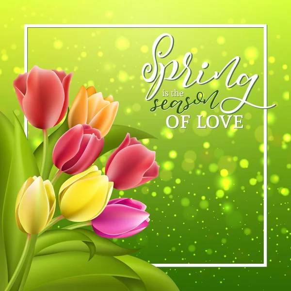 Spring text with tulip flower. Vector illustration EPS10 — Stock Vector