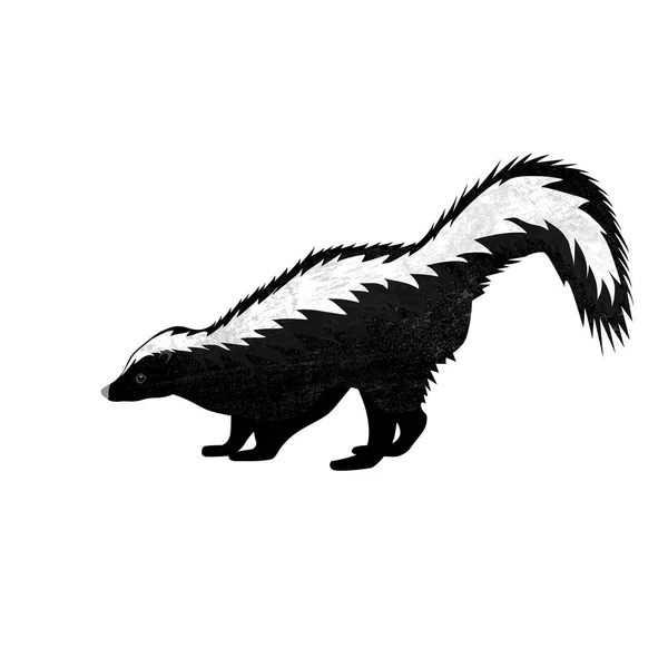 Söt Skunk i platt stil isolerad på vit bakgrund. Vektorillustration. Skogens djur. Cartoon skunk. — Stock vektor