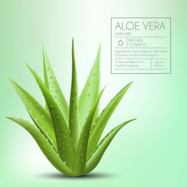 aloe vera ile taze su damlaları