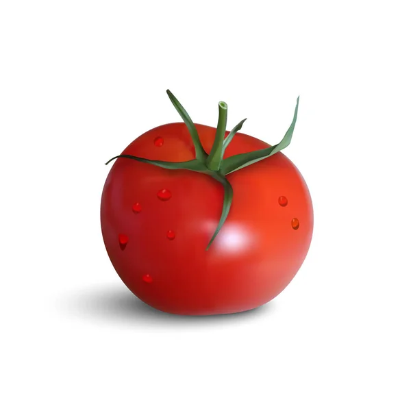 Tomate rouge fraîche isolée sur fond blanc — Image vectorielle