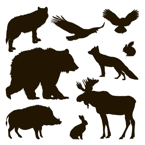 hayvanların Silhouettes