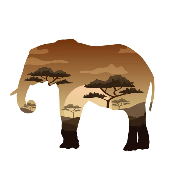 Vector Dupla exposição. Urso, elefante, camelo e leopardo, conceito de vida selvagem —  Vetores de Stock