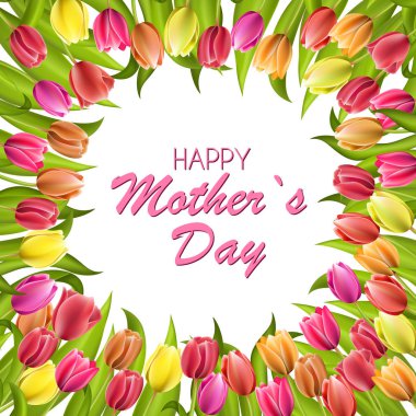 Beyaz lahana beyaz arka plan üzerinde iki kafa izole.