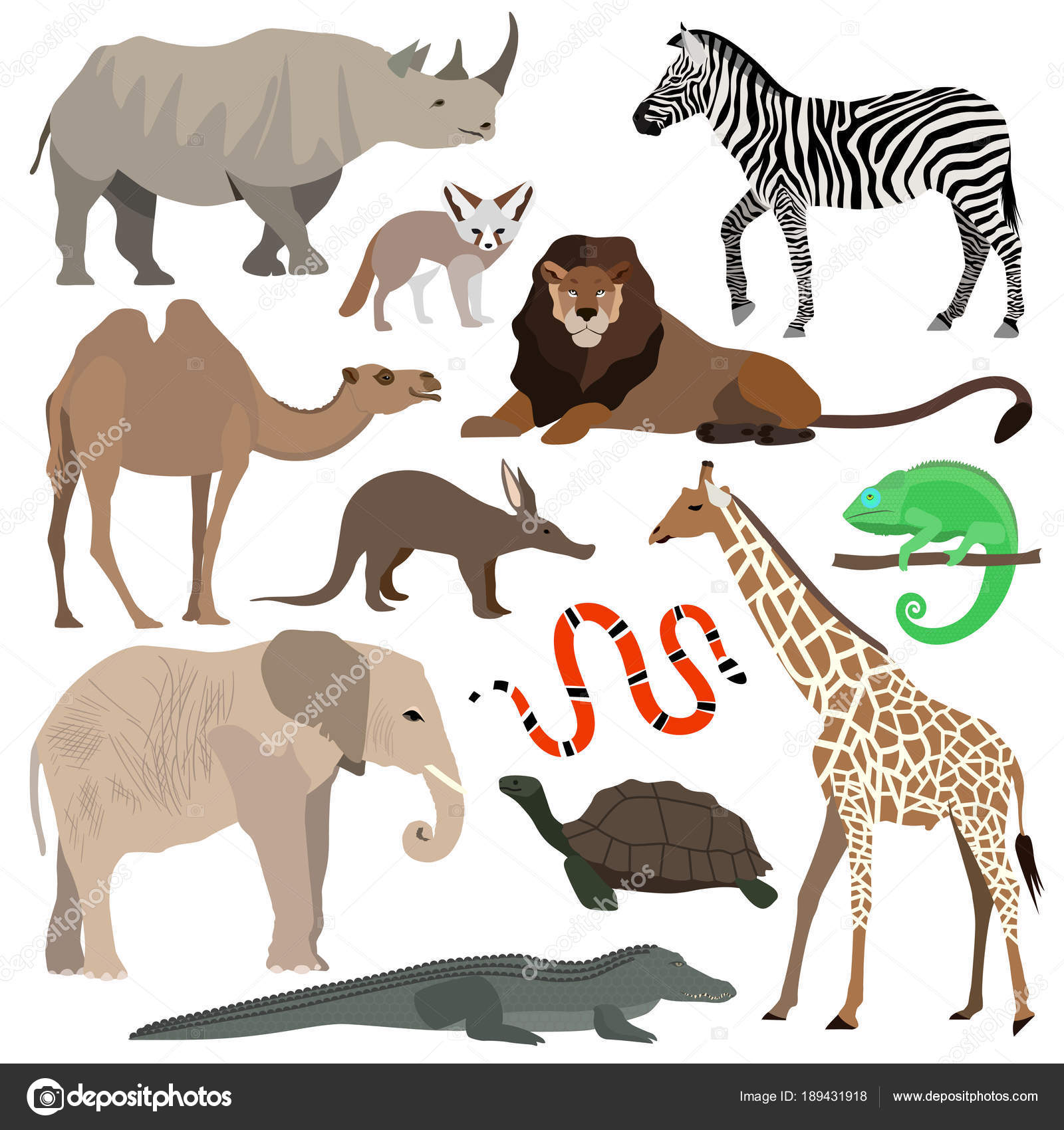 African animals set. Elephant, giraffe, buffalo, hippo, rhino, lion, cheetah, antelope, ostrich, hyena, lemur, gorilla, crocodile, bird Secretary, warthog, zebra, parrot, okapi. Vector illustration Stock Vector Image by © #189431918 African animals set. Elephant, giraffe, buffalo, hippo, rhino, lion, cheetah, antelope, ostrich, hyena, lemur, gorilla, crocodile, bird Secretary, warthog, zebra, parrot, okapi. Vector illustration Stock Vector Image by © #189431918