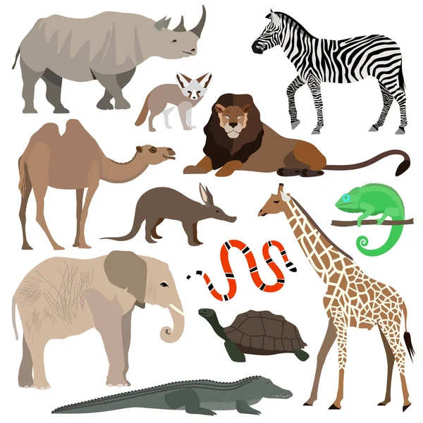 Zestaw zwierząt afrykańskich. Słoń, żyrafa, buffalo, hipopotam, rhino, Lew, cheetah, antylopy, strusie, hiena, lemur, goryl, krokodyla, ptak sekretarz, guziec, zebra, papuga, okapi. Ilustracja wektorowa — Wektor stockowy