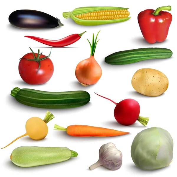 Légumes ou légumes récoltés par les agriculteurs, fruits exotiques tropicaux juteux, baies de forêt ou de jardin et épices aux herbes ou condiments et assaisonnements épicés. Ensemble d'icônes isolées vectorielles — Image vectorielle