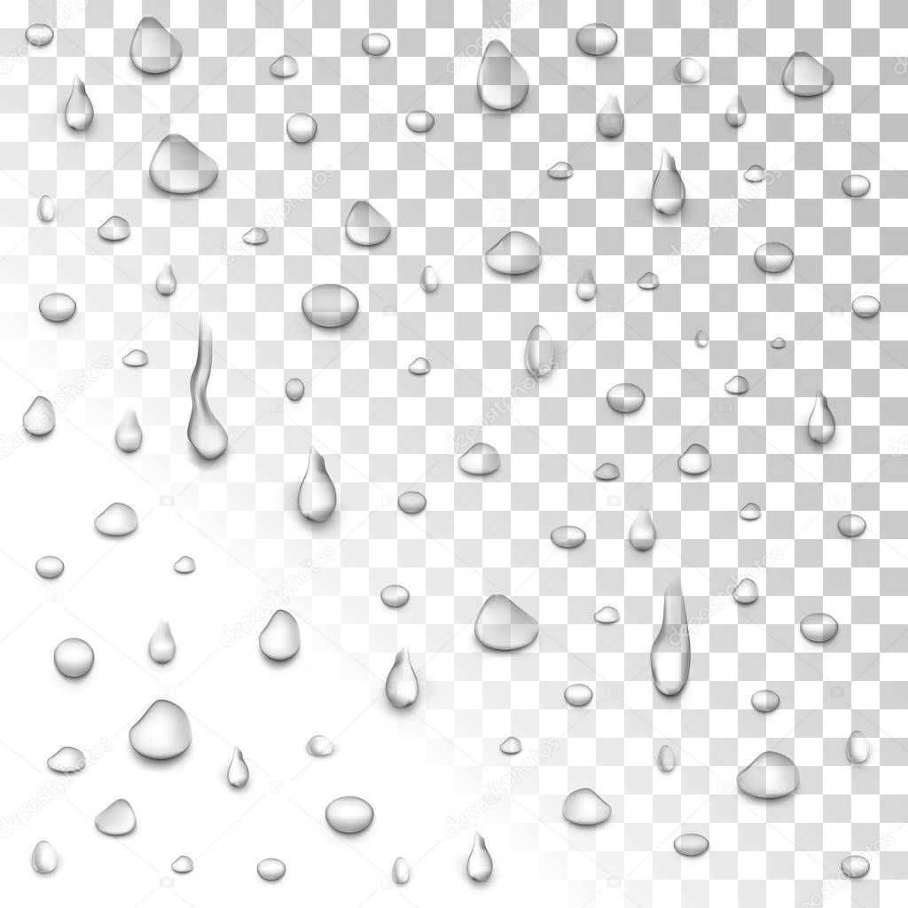 Water rain drops or steam shower isolated on transparent background.