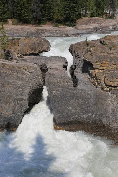 Ponte natual em yoho np — Fotografia de Stock