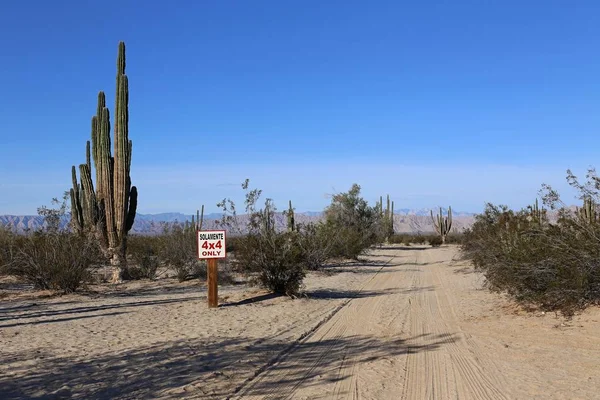 Slechts 4 x 4 in de Baja California woestijn — Stockfoto