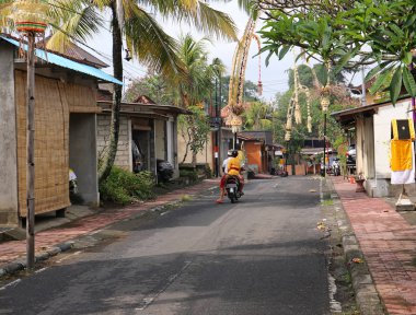 Tipik Balinese Street - Ubud, Bali, Endonezya - 2016