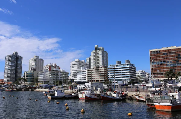 Hamnen och Skyline av Punta del Este, Uruguay - April 2017 — Stockfoto