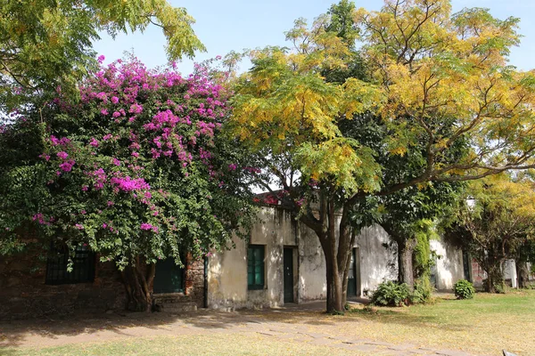 Kolonia Del Sacramento — Zdjęcie stockowe