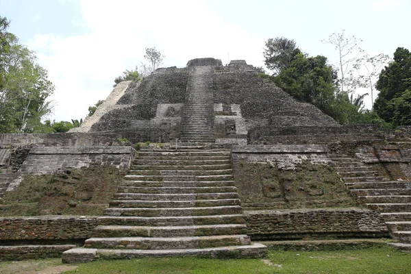 Lamanai Harabeleri Belize — Stok fotoğraf