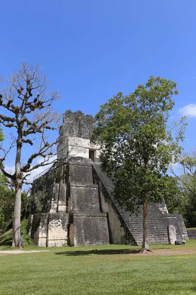 Parque Nacional Tikal cerca de Flores en Guatemala, templo de jaguar es la famosa pirámide en Tikal — Foto de Stock