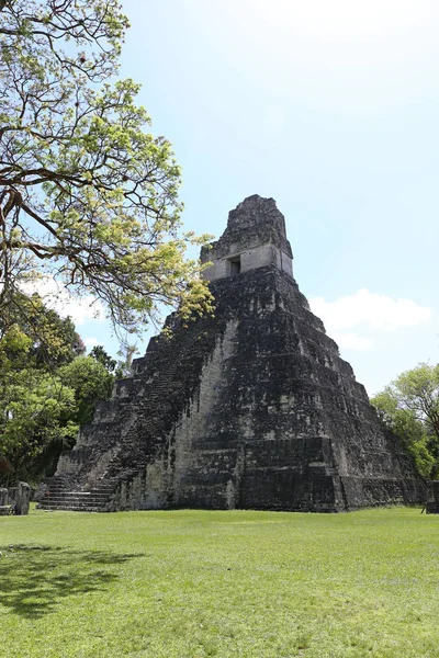 Tikal nationalpark nära Flores i Guatemala, jaguar templet är kända pyramiden i Tikal — Stockfoto