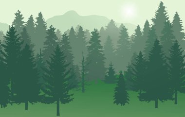 Orman nr2 güneş ile yeşil
