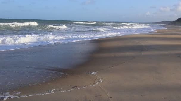 Stranden i Brasilien, vågor och vind — Stockvideo